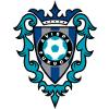 FC东京 福冈黄蜂